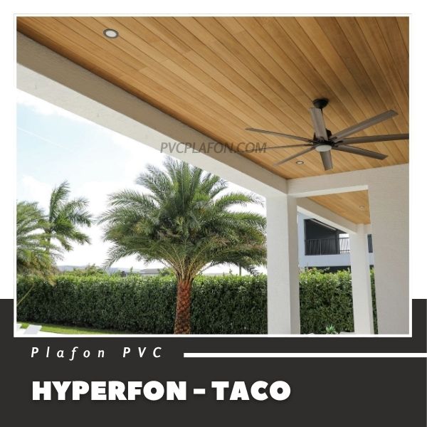 Hyperfon - Taco