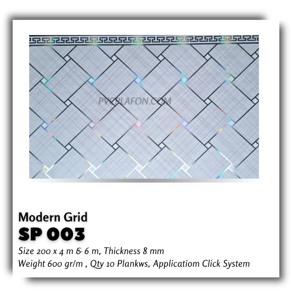 SP 003 - MODERN GRID