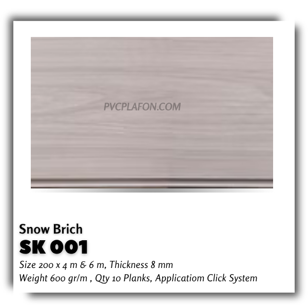 SK 001 - SNOW  BRICH